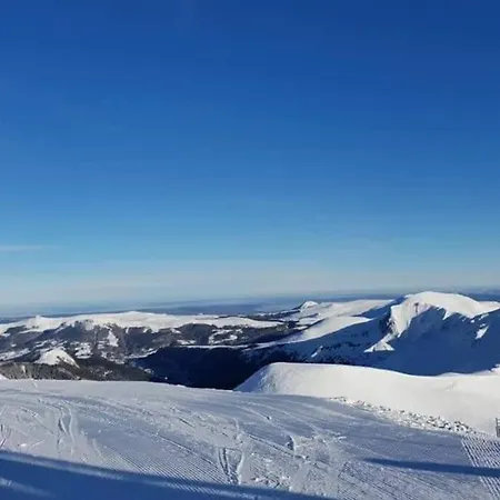 Loulou, Massif Central, Chalet Le Mont-Dore
