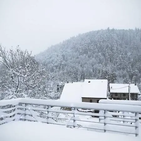 Loulou, Massif Central, * Le Mont-Dore